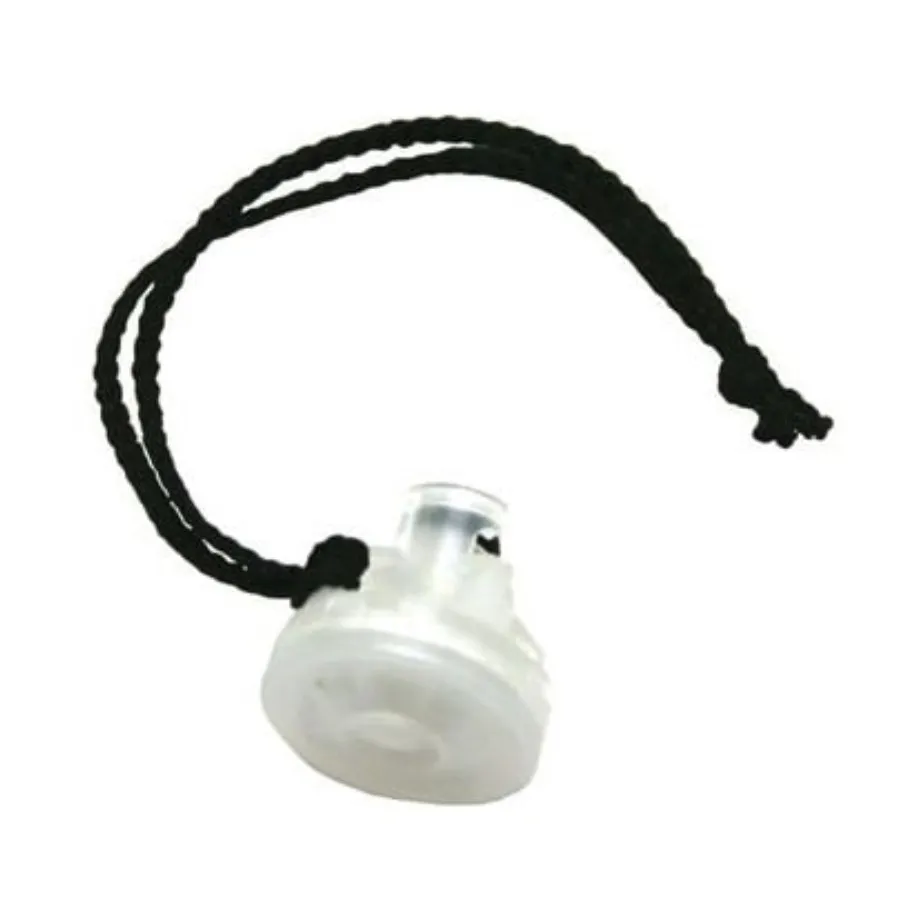 BW M5-AF-K2-100 Auxiliary Pump Filter for GasAlertMax XT II