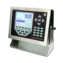 Rice Lake Weighing Systems 69770 Panel Display